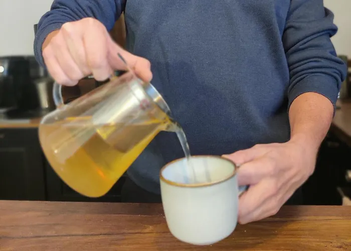 Sommets des meilleurs hôtels à Salers, France