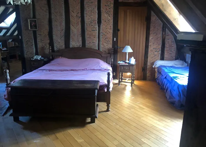 Les Meilleurs Hôtels au Cœur du Lude